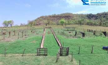 Imagem 5: Fazenda em Gurinhatã - MG com 135,52hectares, ou seja 28,00 alqueires