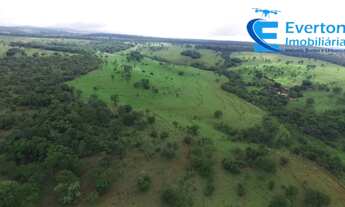 Imagem 7: Fazenda em Uberlândia - MG com 80,58 hectares ou seja 16,65 alqueires