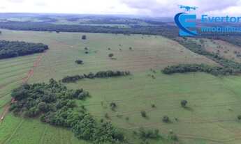 Imagem 6: Fazenda em Uberlândia - MG com 31,84 alqueires ou 154,13 hectares