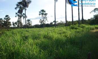 Imagem 5: Fazenda com Ribeirão, área de 1.454 hectares na Chapada Gaúcha - MG