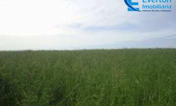 Imagem 6: Fazenda com Ribeirão, área de 1.454 hectares na Chapada Gaúcha - MG