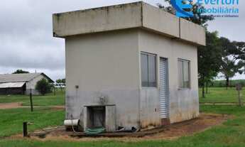 Imagem 5: Fazenda em Monte Alegre de Minas - MG com 74,30 hectares, ou seja, 15,35 Alqueires