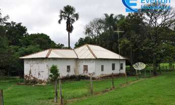 Imagem 6: Fazenda em Monte Alegre de Minas - MG com 74,30 hectares, ou seja, 15,35 Alqueires