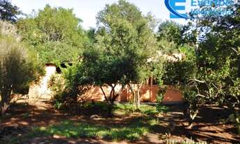 Imagem 6: Rancho em Uberlândia - MG na Represa de Miranda