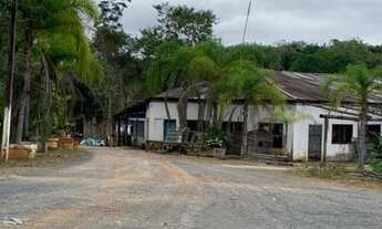 Imagem 4: Sítio com 3 nascentes de água mineral, área de 77 hectares, em Jacupiranga - SP
