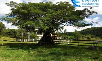 Imagem 5: Sítio de terra de cultura vermelha, ideal para lavoura ,pecuária e lazer, com 33,88 hectar