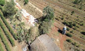 Imagem 4: Sítio para café, com 39 hectares em Indianópolis - MG