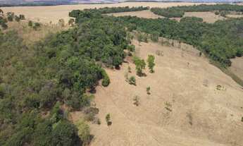 Imagem 5: Fazenda Rica em água com várias nascentes em Orizona - GO com 137,1703 hectares, ou seja