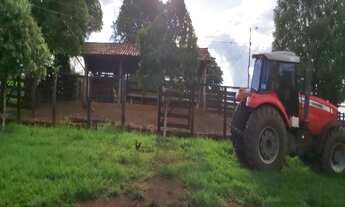Imagem 3: Fazenda em Uberlândia - MG com 101,64 hectares ou seja