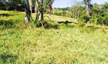 Imagem 6: Excelente fazenda com carvoaria em Presidente Olegário-MG contendo 310 hectares ou seja