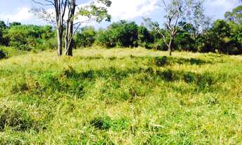 Imagem 5: Excelente fazenda com carvoaria em Presidente Olegário-MG contendo 310 hectares ou seja