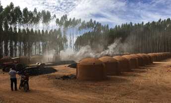 Imagem 15: Excelente fazenda com carvoaria em Presidente Olegário-MG contendo 310 hectares ou seja