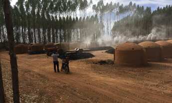 Imagem 16: Excelente fazenda com carvoaria em Presidente Olegário-MG contendo 310 hectares ou seja