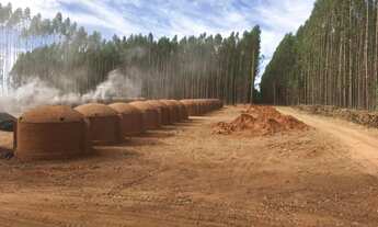 Imagem 14: Excelente fazenda com carvoaria em Presidente Olegário-MG contendo 310 hectares ou seja
