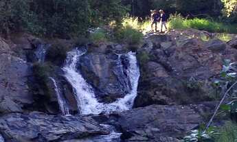 Imagem 3: Excelente fazenda com carvoaria em Presidente Olegário-MG contendo 310 hectares ou seja