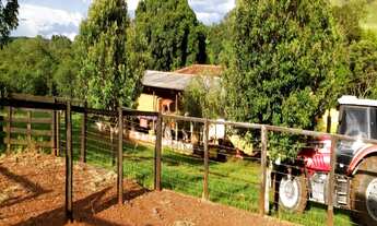 Imagem 5: Fazenda em Uberlândia - MG com 101,64 hectares ou seja