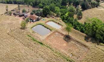 Imagem: Fazenda Rica em água com várias nascentes