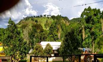 Imagem 4: Fazenda em Uberlândia - MG com 101,64 hectares ou seja