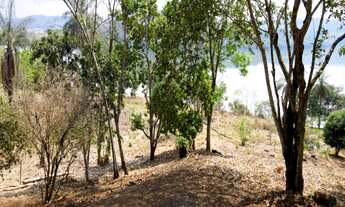 Imagem 5: Rancho em Uberlândia - MG com 7.215 m²