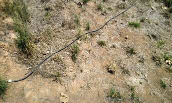 Imagem 7: Rancho em Uberlândia - MG com 7.215 m²