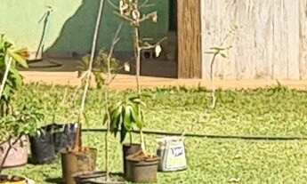 Imagem 5: Chácara de 1.000² metros no Miranda V, Uberlândia-MG