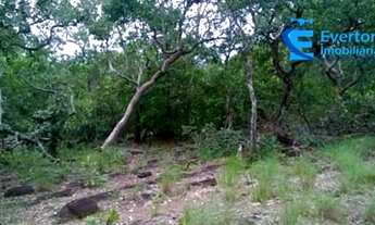 Imagem 5: Sítio de 7,86 alqueires com nascente perene, em Fátima -TO