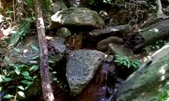 Imagem 4: Sítio de 7,86 alqueires com nascente perene, em Fátima -TO