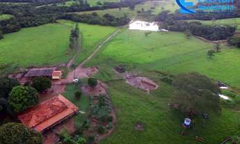 Imagem: Fazenda com 53 alqueires ou seja 256,52