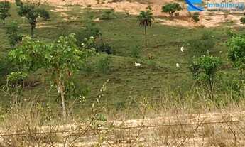 Imagem 2: Fazenda com área de 170 alqueires, em São Gonçalo do Abaeté - MG