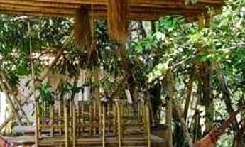 Imagem 5: Oportunidade de lazer e gerar renda! Chácara com 7.500m² no condomínio Douradinho