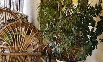 Imagem 7: Oportunidade de lazer e gerar renda! Chácara com 7.500m² no condomínio Douradinho