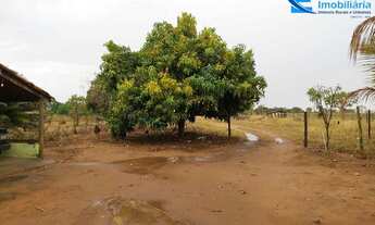 Imagem 6: Chácara com 3.37 alqueires em Uberlândia