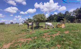 Imagem 3: Oportunidade ! Chácara com 3,94alqueires em Uberlândia