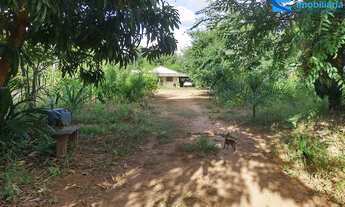 Imagem 2: Oportunidade ! Chácara com 3,94alqueires em Uberlândia