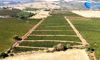 Imagem 2: Sítio para café, com 39 hectares em Indianópolis - MG