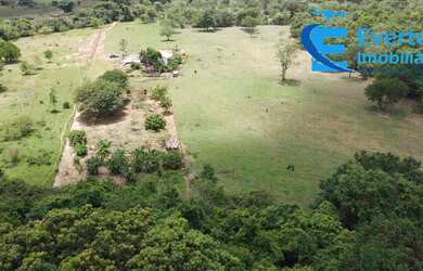 Imagem 7: Linda Chácara próximo a Araguari para moradia ou exploração Rural!