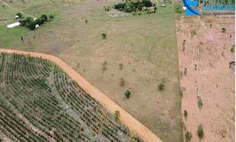 Imagem 4: Chácara com 3,70 alqueires, ou seja 17,9529 hectares em Uberlândia - MG