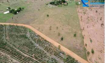 Imagem 5: Chácara com 3,70 alqueires, ou seja 17,9529 hectares em Uberlândia - MG