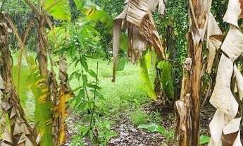 Imagem 6: Chácara 2.000 m2 - Condomínio Miranda I - Terra de Cultura - Lazer e moradia!