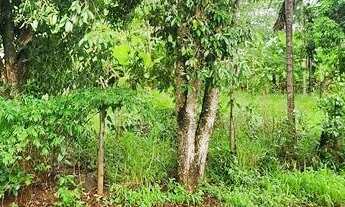 Imagem 3: Chácara 2.000 m2 - Condomínio Miranda I - Terra de Cultura - Lazer e moradia!