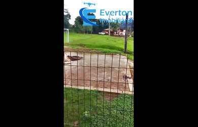 Imagem 3: Sítio com pomar localizado em Uberlândia contendo 2,47 alqueires ou seja 12 hectares!