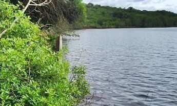 Imagem 7: Chácara ideal para pescadores e pessoas desejosas de ambientes preservados e restritos!