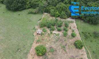 Imagem 5: Lindo Sítio próximo a Araguari para moradia ou exploração Rural!