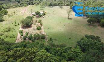 Imagem 7: Lindo Sítio próximo a Araguari para moradia ou exploração Rural!