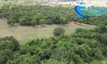 Imagem 6: Lindo Sítio próximo a Araguari para moradia ou exploração Rural!