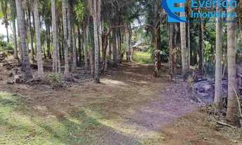 Imagem 5: Oportunidade Rancho 6.600 m2 - Represa Miranda