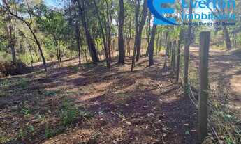 Imagem 2: Oportunidade Chácara - Terreno de 2.000 m2 - Valor R$160.000,00- Com opção compra área de