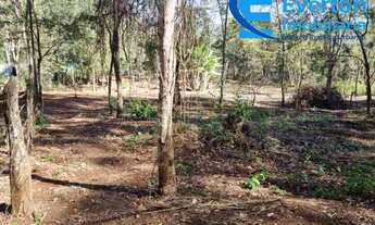 Imagem 7: Oportunidade Chácara - Terreno de 2.000 m2 - Valor R$160.000,00- Com opção compra área de