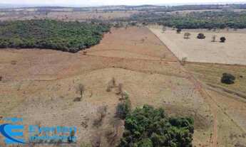 Imagem 3: Sitio 6 alqueires(29.04 hectares) em Uberlândia - Distrito de Martinésia