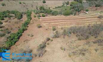 Imagem 4: Sitio 6 alqueires(29.04 hectares) em Uberlândia - Distrito de Martinésia